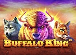 Buffalo King Caspero Casino Slot