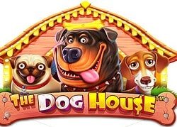 Dog House Caspero Casino Game